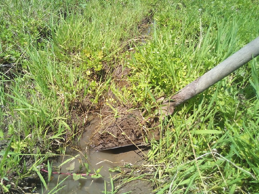 2年目の田んぼの溝掘り