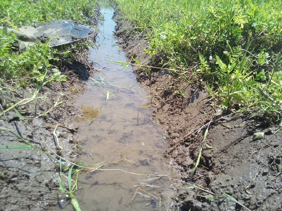 2年目の田んぼの畦塗り