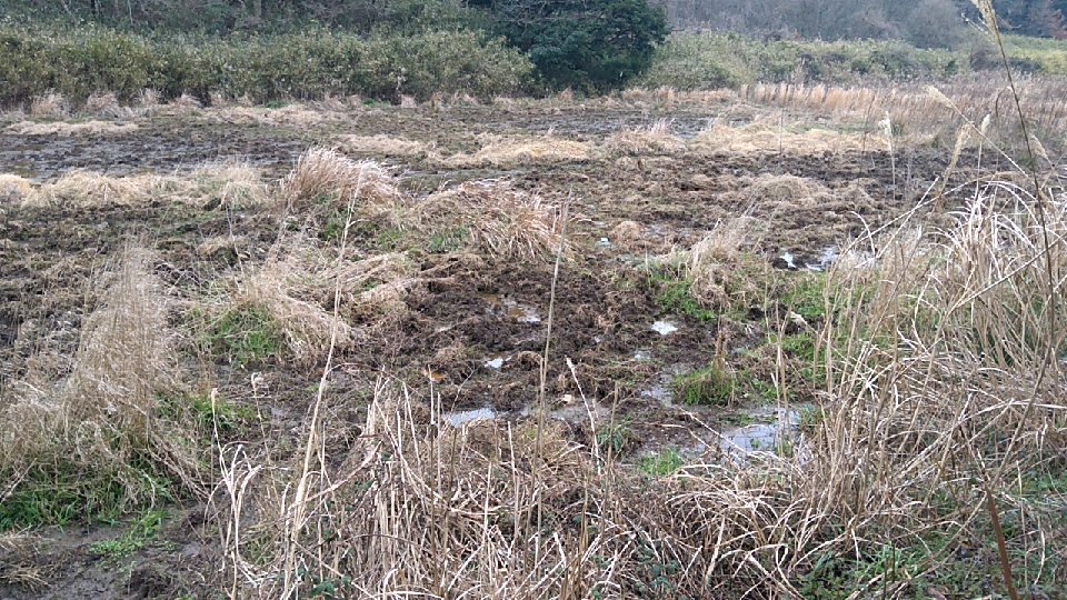 猪が修正した跡