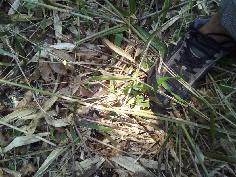 点穴のポイント